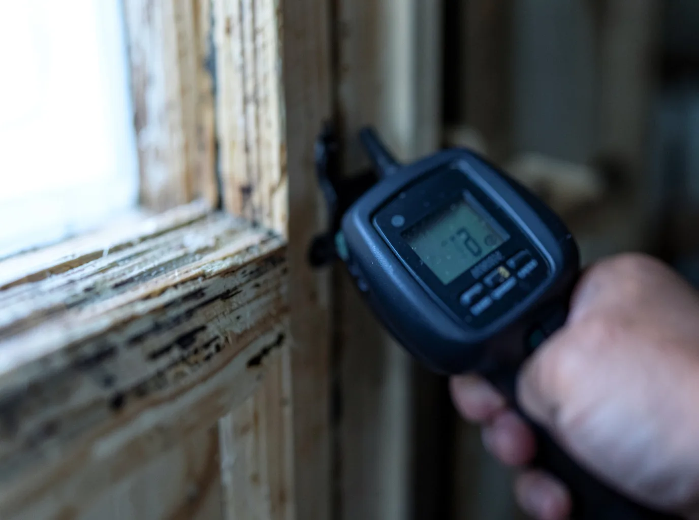 Moisture Inspection And Documentation in Rochester, WI